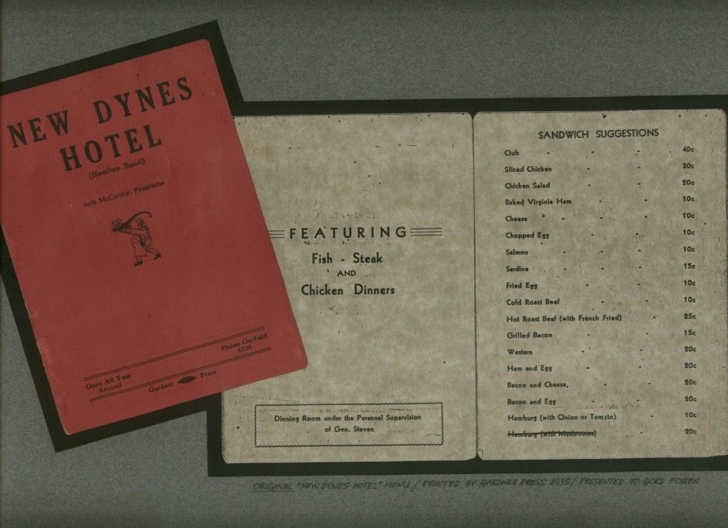 dynes4_zps7q378fnx.jpg
