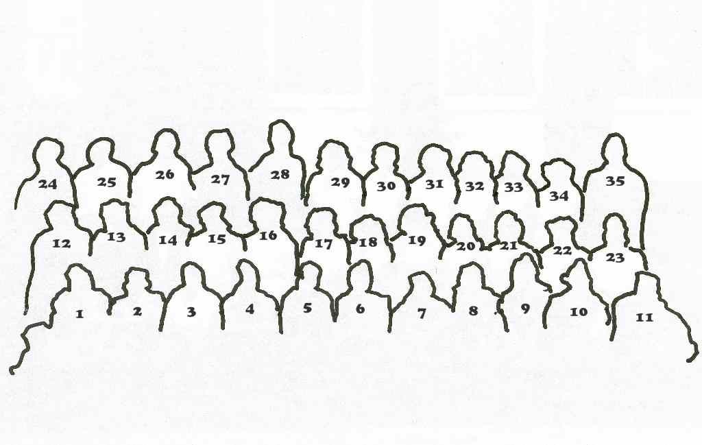 outline.jpg
