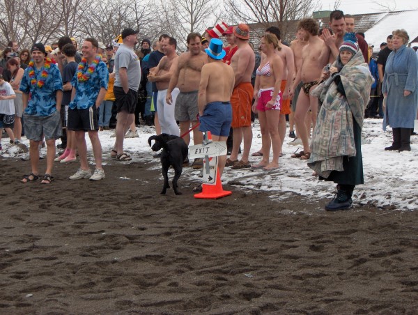 polar-bbb (600 x 452).jpg