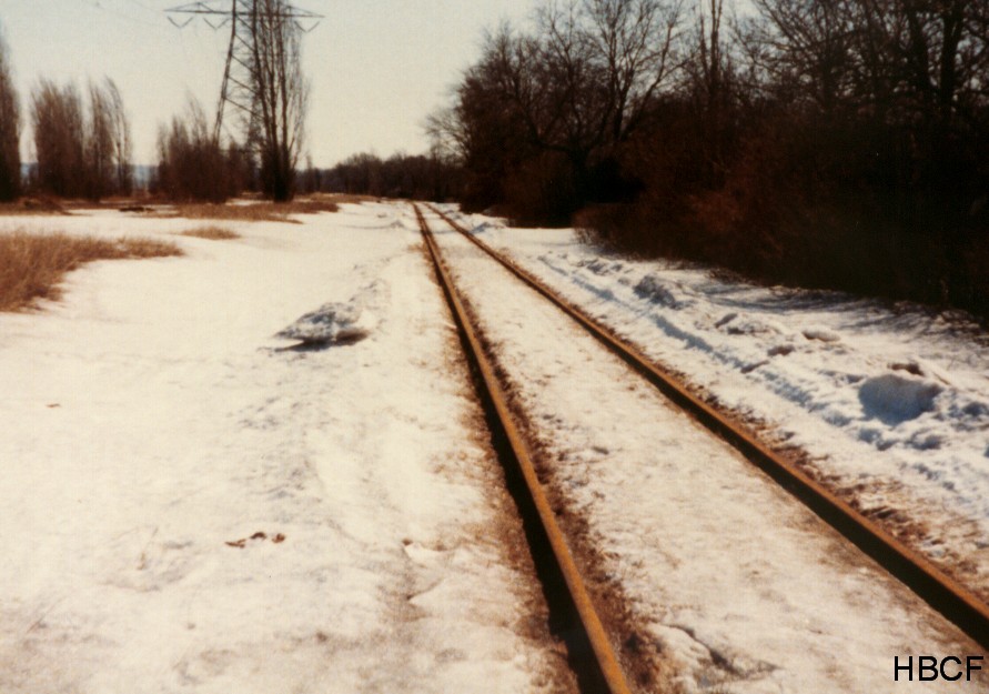 TracksaNH.jpg